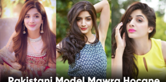 Pakistani Model Mawra Hocane Net Worth & Car Collection