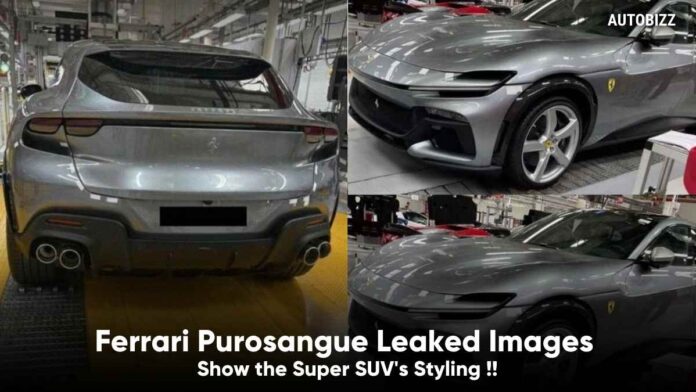 Ferrari Purosangue Leaked Images Show the Super SUV's Styling