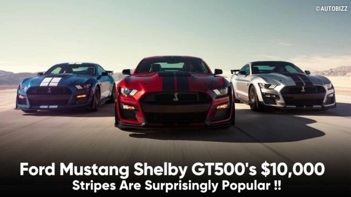 Ford Mustang Shelby GT500's $10,000 Stripes Are Surprisingly Popular