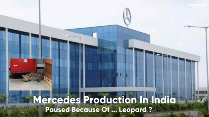 Mercedes Production In India Paused Because Of ... Leopard?