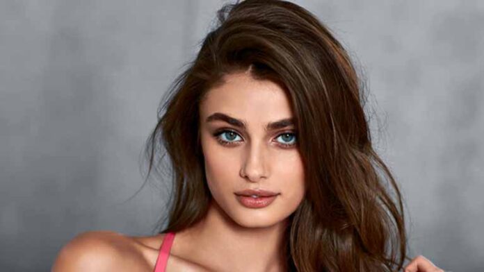 Taylor Hill car Collection
